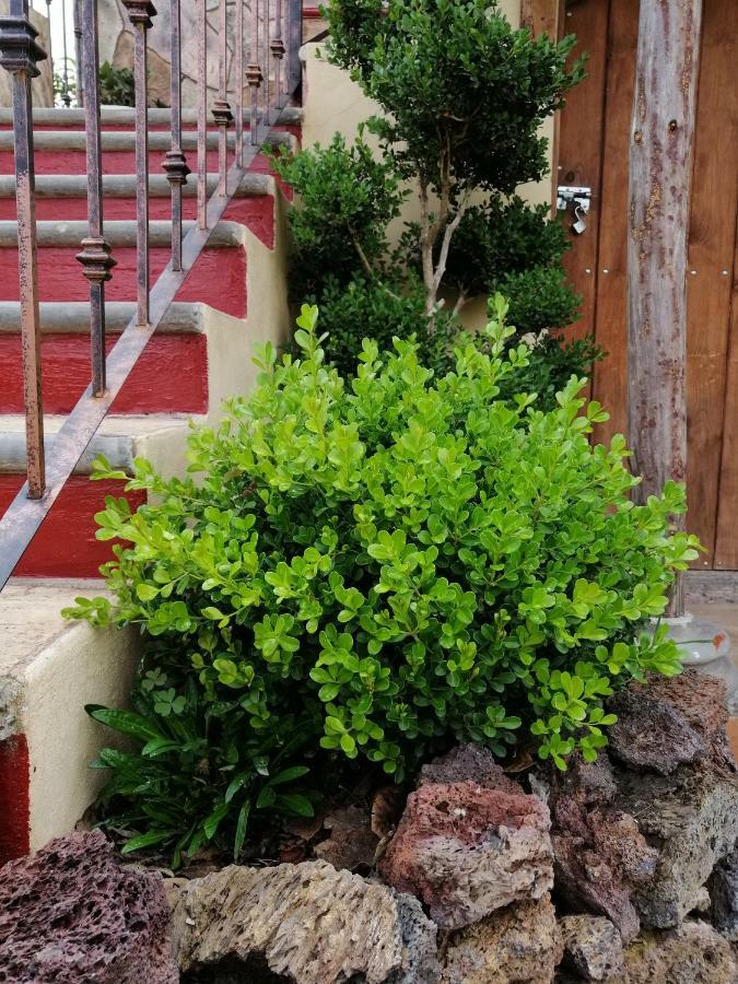 Hotel Posada El Camino Chignahuapan Eksteriør billede